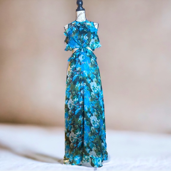 Evangelina Dresses & Skirts - Beautiful, elegant, backless, floral, maxi dress. Like new. 🪺💕🌼